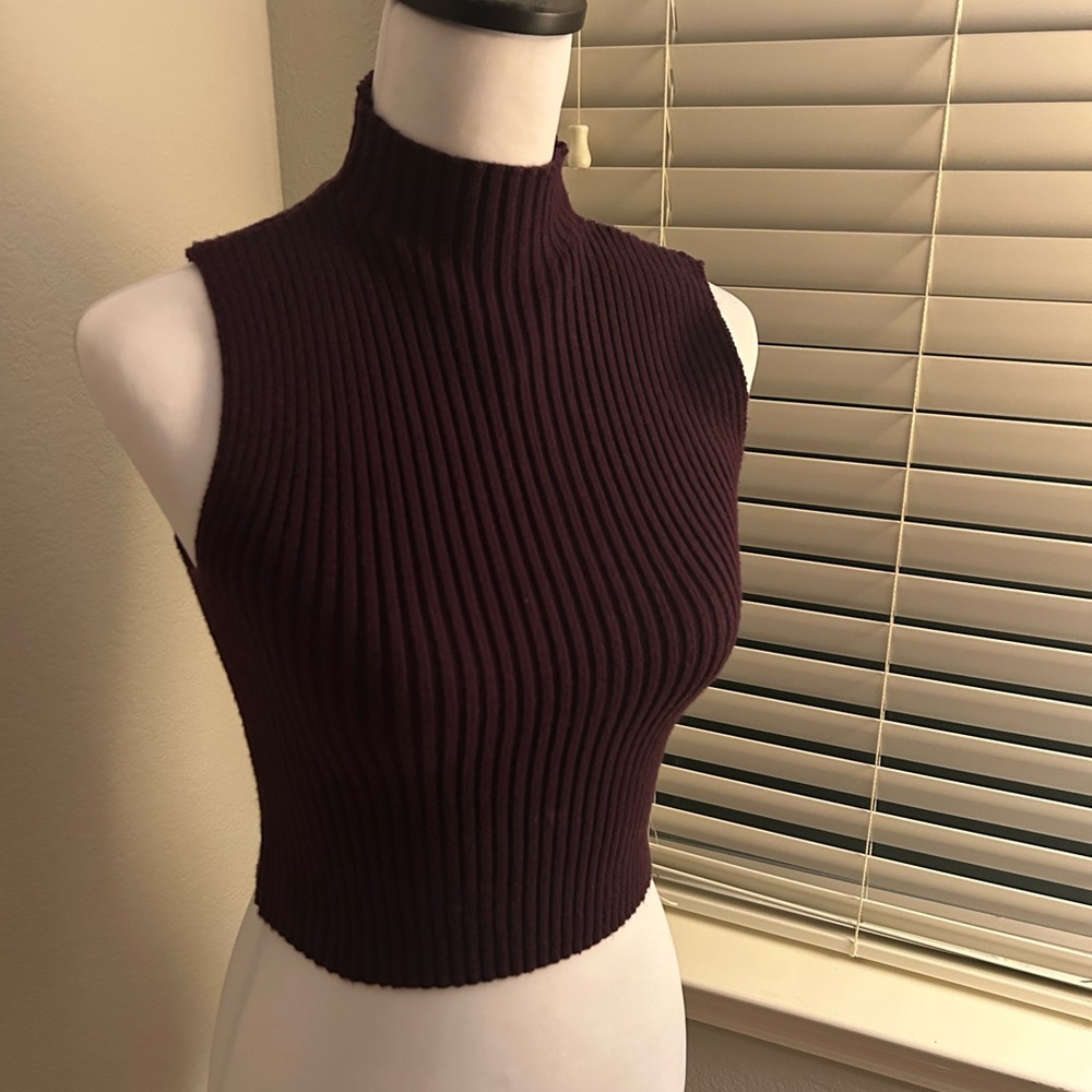 Zara Deep Purple Plum Knit Mock Neck Sleeveless Crop Top S